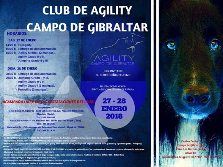 Agility. Pruebas XXXVII y XXXVIII de Agility (Cádiz   España)