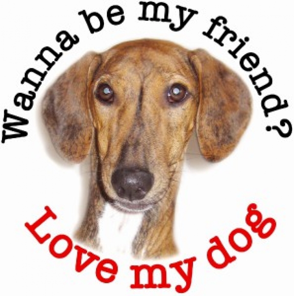 Azawakh. Perro del mosaico.