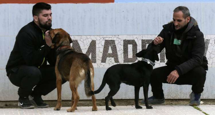 PETSmania - Terapia con perros para presos.