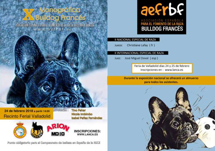 ASOCIACIÓN ESPAÑOLA PARA EL FOMENTO DE LA RAZA BULLDOG FRANCÉS - Bulldog Francés. Belleza. X Monográfica Nacional AEFRBF   Bulldog Frances (Valladolid   España)