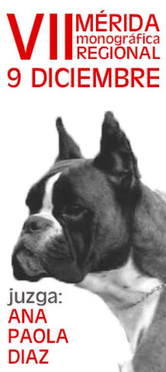 VIII Monográfica Regional del Boxer de Extremadura