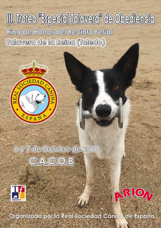 Real Sociedad Canina de España - Obediencia. III TROFEO ESPECIAL TALAVERA DE OBEDIENCIA (Toledo   España)