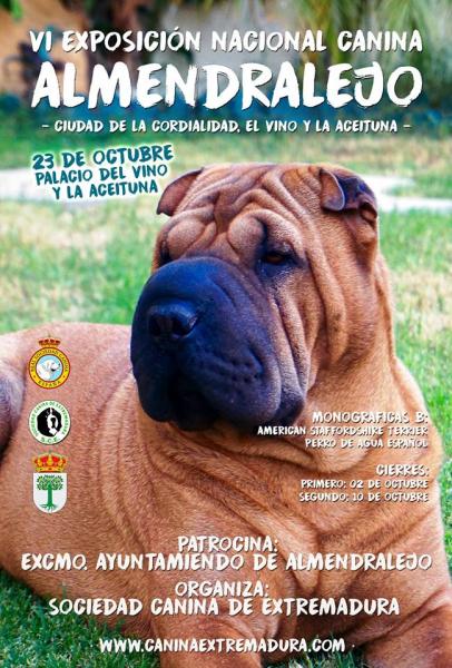 Belleza. VI EXPOSICIÓN NACIONAL CANINA (CAC) (Badajoz   España)