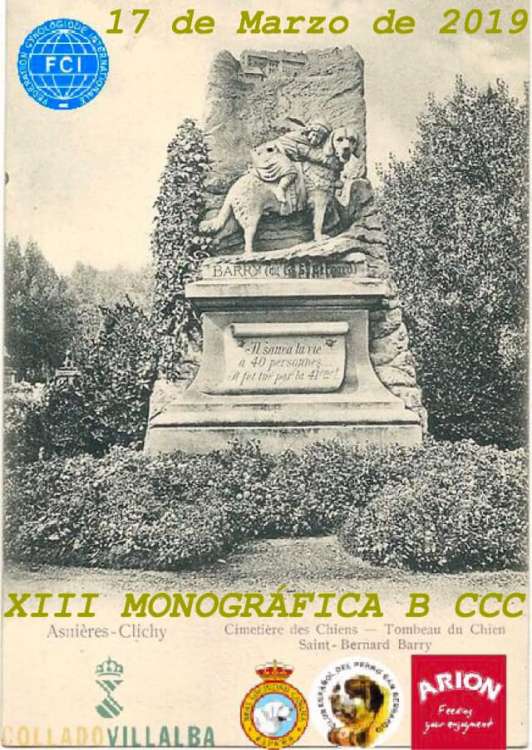 Belleza. XIII Monográfica B del Club Espanol del San Bernardo (Madrid España) Belleza. XIII Monográfica B del Club Espanol del San Bernardo (Madrid España)