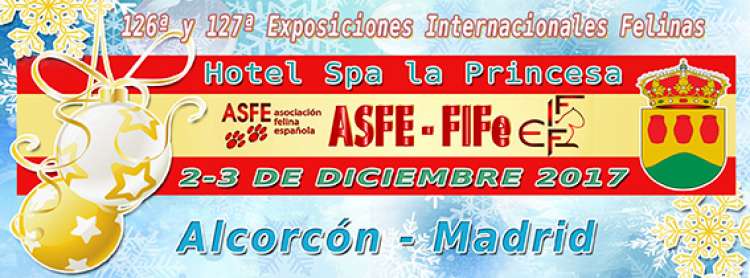 Belleza. 125   126 Exposiciones Felinas Internacionales ASFE (Madrid   España)
