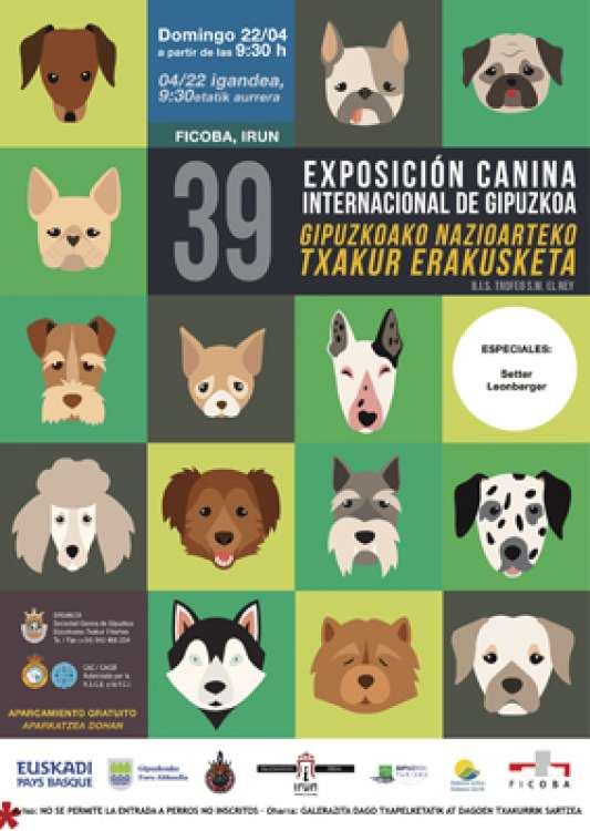 Belleza. 39 EXPOSICIÓN CANINA INTERNACIONAL DE GIPUZKOA (Guipúzcoa   España)