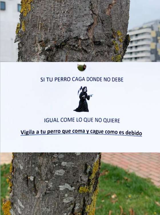 Amenaza a perros cuyos amos no limpian sus heces en Vitoria.
