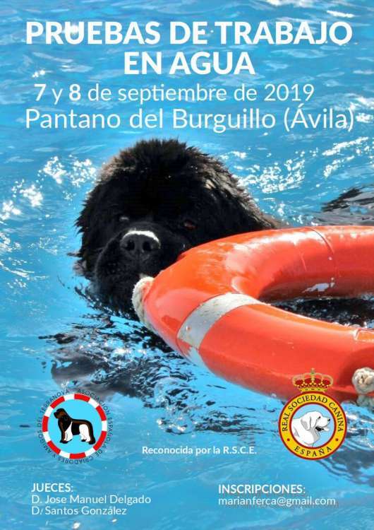 PETSmania - Terranova.