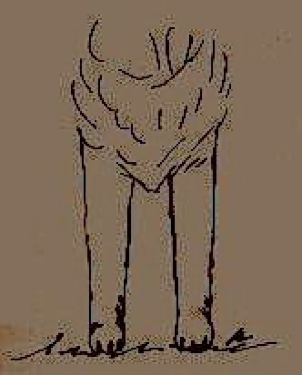 Montaña de los Pirineos. Cuerpo de Atleta