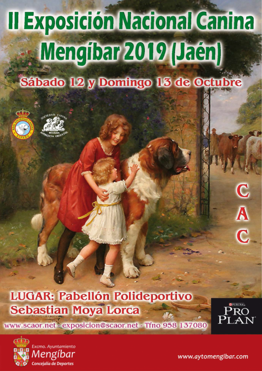 Belleza. XLII EXPOSICIÓN NACIONAL MENGÍBAR (Jaén   España)