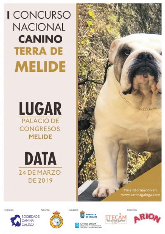 Sociedad Canina Gallega - Belleza. I CONCURSO NACIONAL CANINO TERRA DE MELIDE (A Coruña   España)