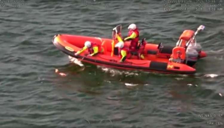La guardia costera británica y un bote salvavidas salvaron a un perro de raza cockapoo