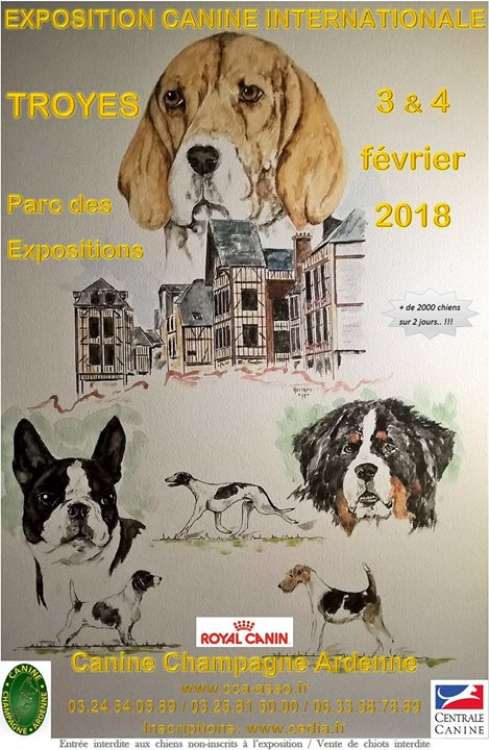 EXPOSITION CANINE INTERNATIONALE (CACS   CACIB)