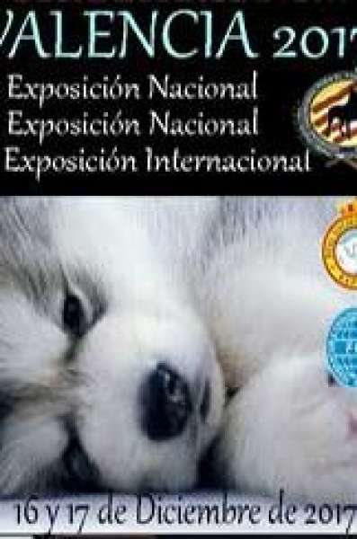 72 EXPOSICIÓN NACIONAL CANINA DE VALENCIA 2017