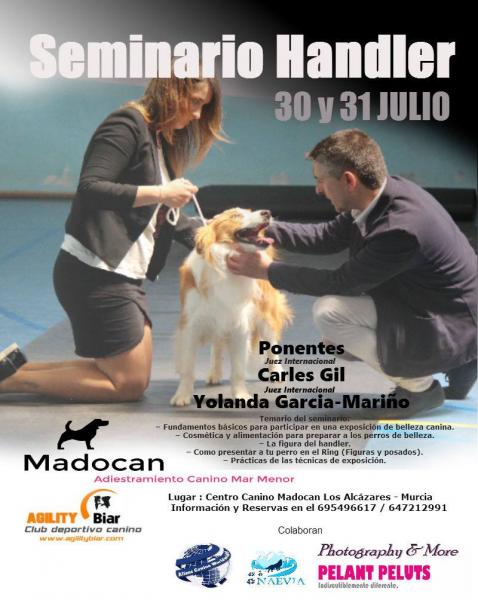 Cursos. SEMINARIO DE HANDLER (Murcia   España)