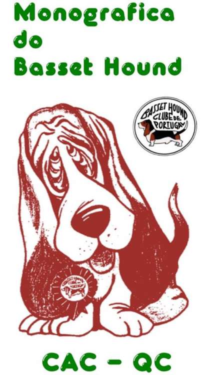 Belleza. 34.ª E. C. Monográfica do Basset Hound (CAC QC) (Santarem Portugal) Belleza. 34.ª E. C. Monográfica do Basset Hound (CAC QC) (Santarem Portugal)