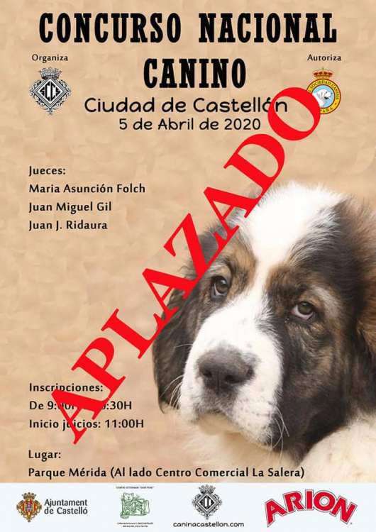 Sociedad Canina de Castellón - Belleza. CONCURSO NACIONAL CANINO (Castellón   España)