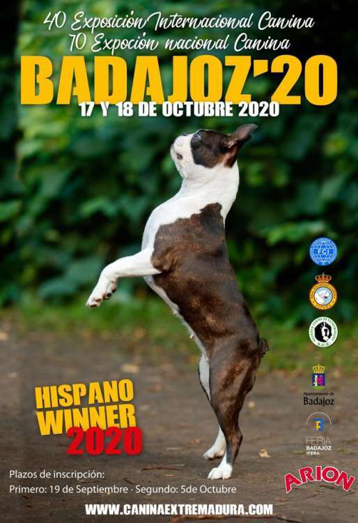 Sociedad Canina de Extremadura - Belleza. 40 EXPOSICIÓN CANINA INTERNACIONAL (CAC CACIB) (Badajoz   España)