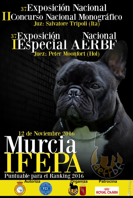 Bulldog Francés. Belleza. II CONCURSO MONOGRÁFICO AEFRBF y I ESPECIAL AEFRBF  (Murcia   España)