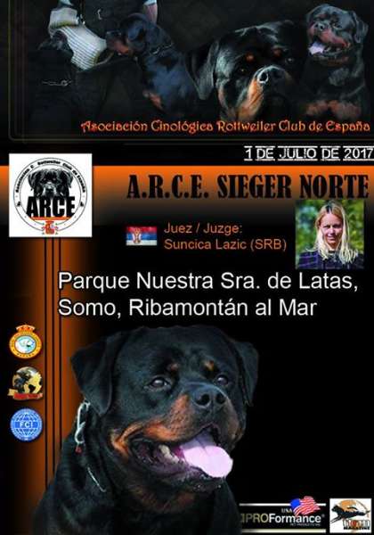 Asociación Cinológica Rottweiler Club de España - ARCE - Belleza. MONOGRÁFICA DEL NORTE DEL ROTTWEILER (Cantabria   España)