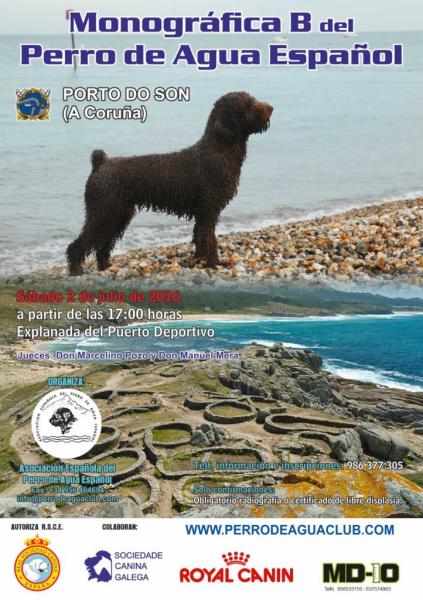 ASOCIACIÓN ESPAÑOLA DEL PERRO DE AGUA ESPAÑOL - Perro de Agua Español. Belleza. CONCURSO MONOGRÁFICO DEL PERRO DE AGUA ESPAÑOL (A Coruña   España)