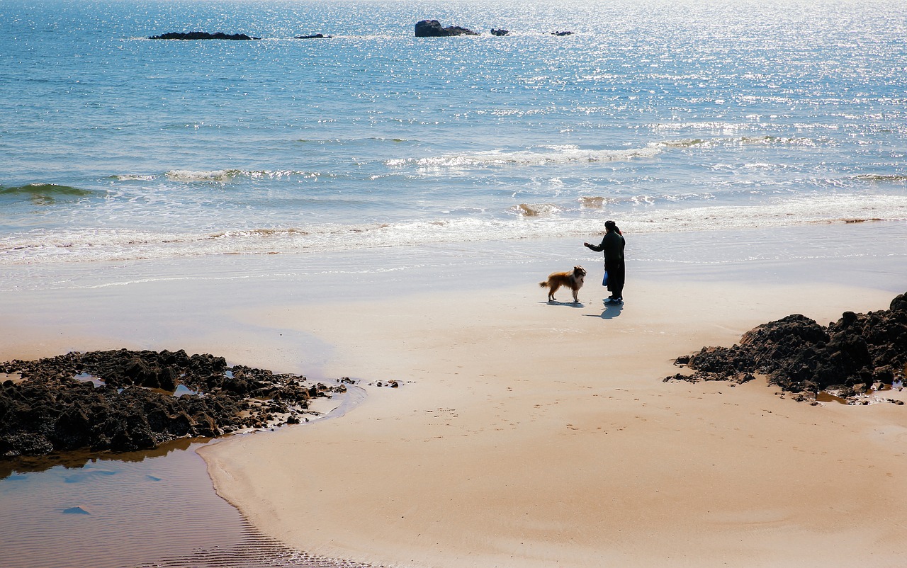 Perro y su amo en la playa