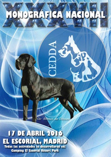 Club Español del Dogo Alemán - CEDDA - Dogo Alemán. Belleza. XXXVII MONOGRÁFICA NACIONAL DEL DOGO ALEMÁN (Madrid   España)