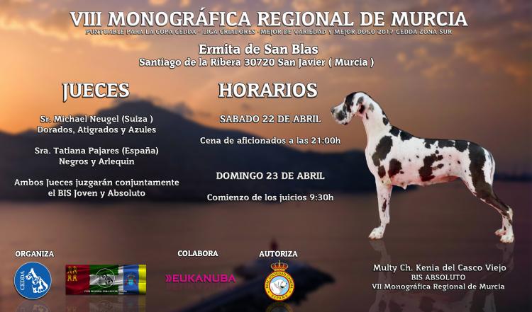 Dogo Alemán. Belleza. VIII MONOGRÁFICA REGIONAL DE MURCIA del DOGO ALEMÁN (Murcia   España)