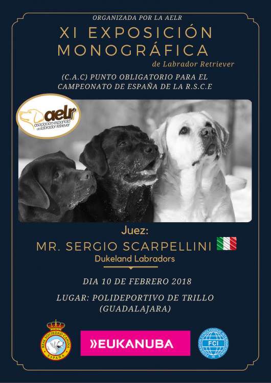 XI EXPOSICIÓN MONOGRÁFICA DEL LABRADOR RETRIEVER