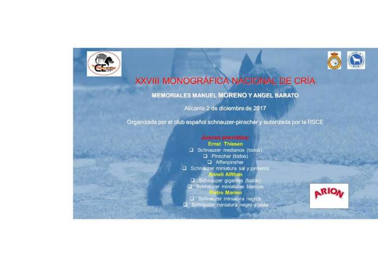 Belleza. XXVIII MONOGRÁFICA NACIONAL DE CRÍA DEL  (Alacant   España)