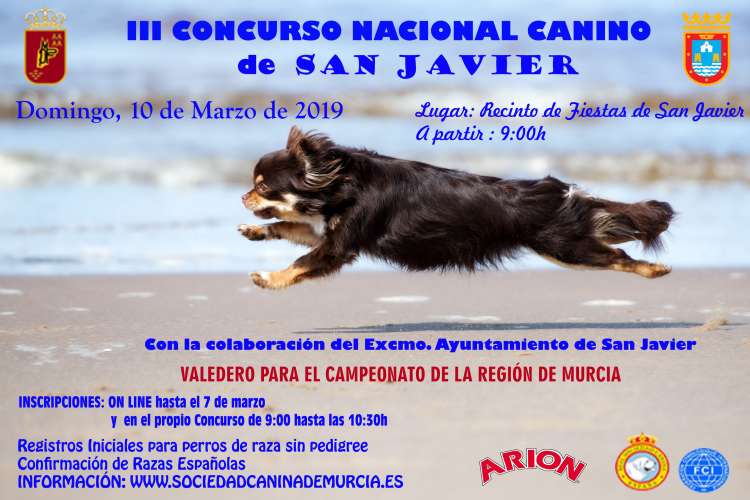 Sociedad Canina de Murcia - Belleza. III CONCURSO CANINO DE SAN JAVIER (Murcia   España)