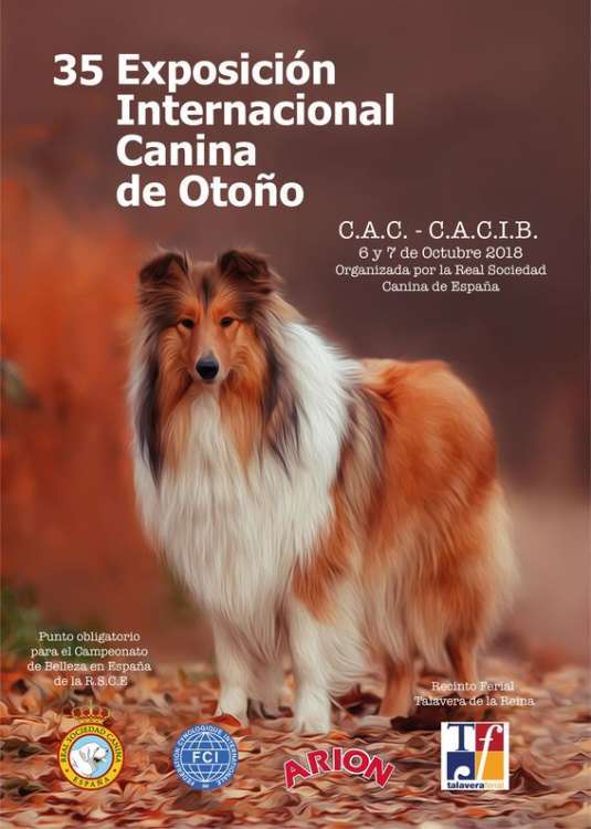 35 EXPOSICIÓN INTERNACIONAL CANINA DE OTOÑO DE LA REAL SOCIEDAD CANINA DE ESPAÑA