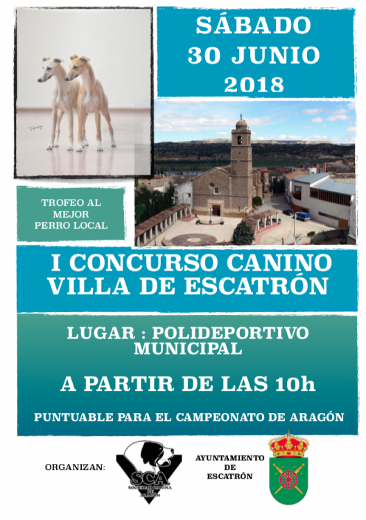 Sociedad Canina de Aragón - Belleza. I CONCURSO CANINO VILLA DE ESCATRÓN (Zaragoza   España)