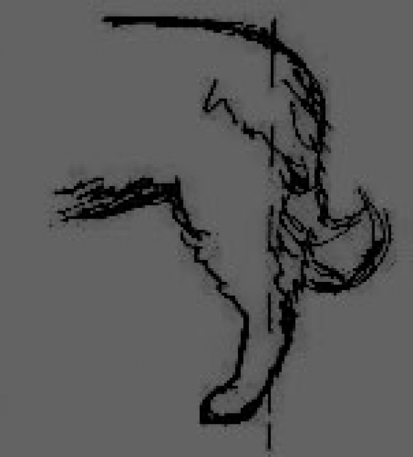 Montaña de los Pirineos. Cuerpo de Atleta