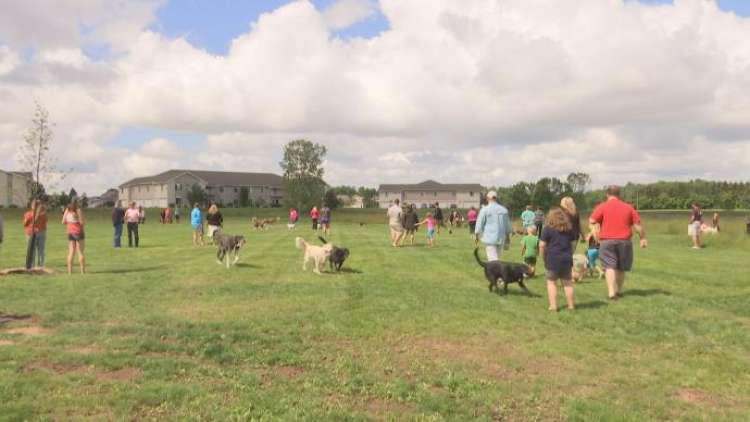 Parque para perros es abierto en Bellevue Parque para perros es abierto en Bellevue