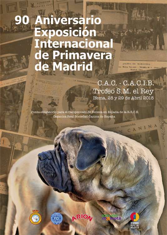 EXPOSICIÓN INTERNACIONAL CANINA DE PRIMAVERA DE MADRID   90 ANIVERSARIO
