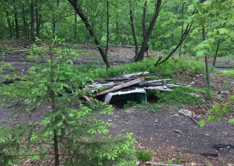 Ruth Steinert Memorial SPCA publicó las fotos en su Facebook. Ruth Steinert Memorial SPCA publicó las fotos en su Facebook.