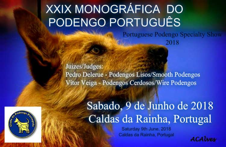 PETSmania - XXIX Monográfica do Podengo Português
