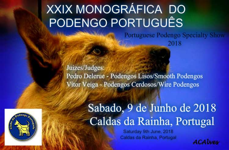 XXIX Monográfica do Podengo Português