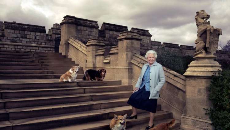 La reina junto a sus corgis en su 90º cumpleaños. (Annie Leivovitz)