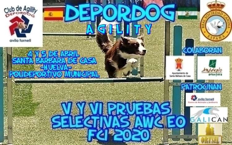 Agility. Prueba de Agility   SELECTIVA (Huelva   España)