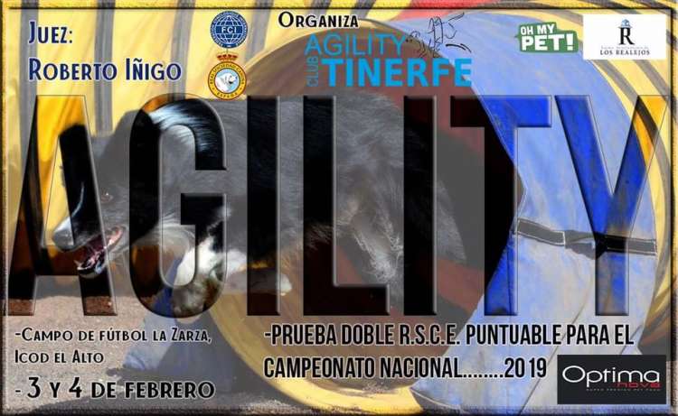 Agility. Prueba de Agility (Santa Cruz de Tenerife   España)