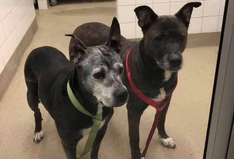 Cortesía de Julie Sly.