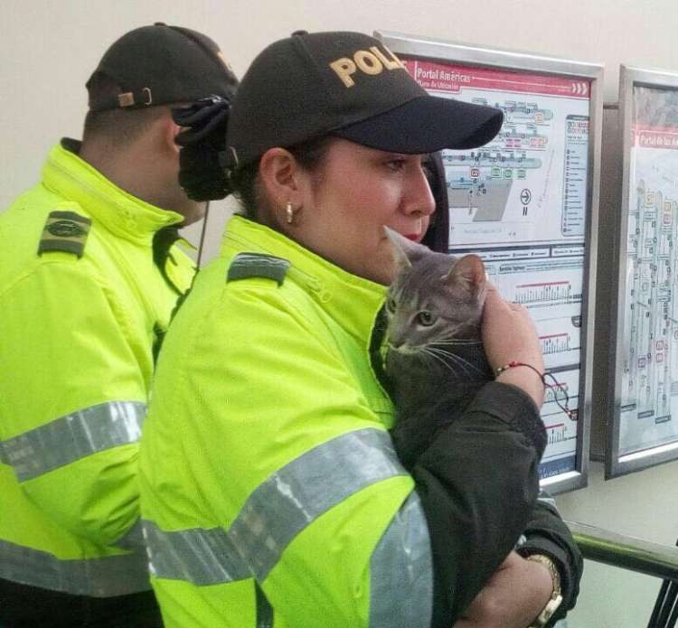 Foto  Polícia de Bogotá con el gato que dejaron encerrado en la maleta