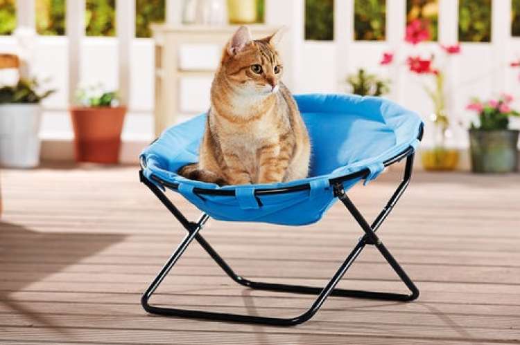 PETSmania - (Fuente  Zoofari Cat Chair de LIDL)