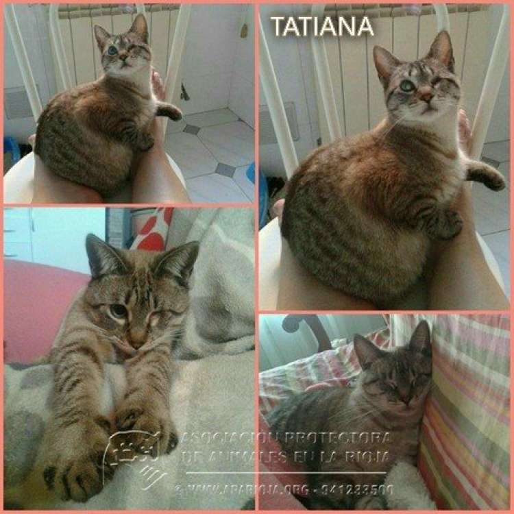 Tatiana.