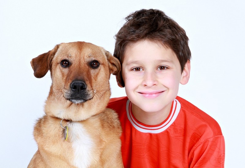 Nueva terapia con perros para niños con problemas de intestino irritable y dolor abdominal.