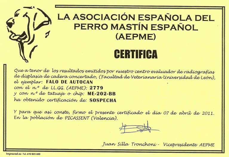Mastín Español.  Ch. Falo De Autocan.