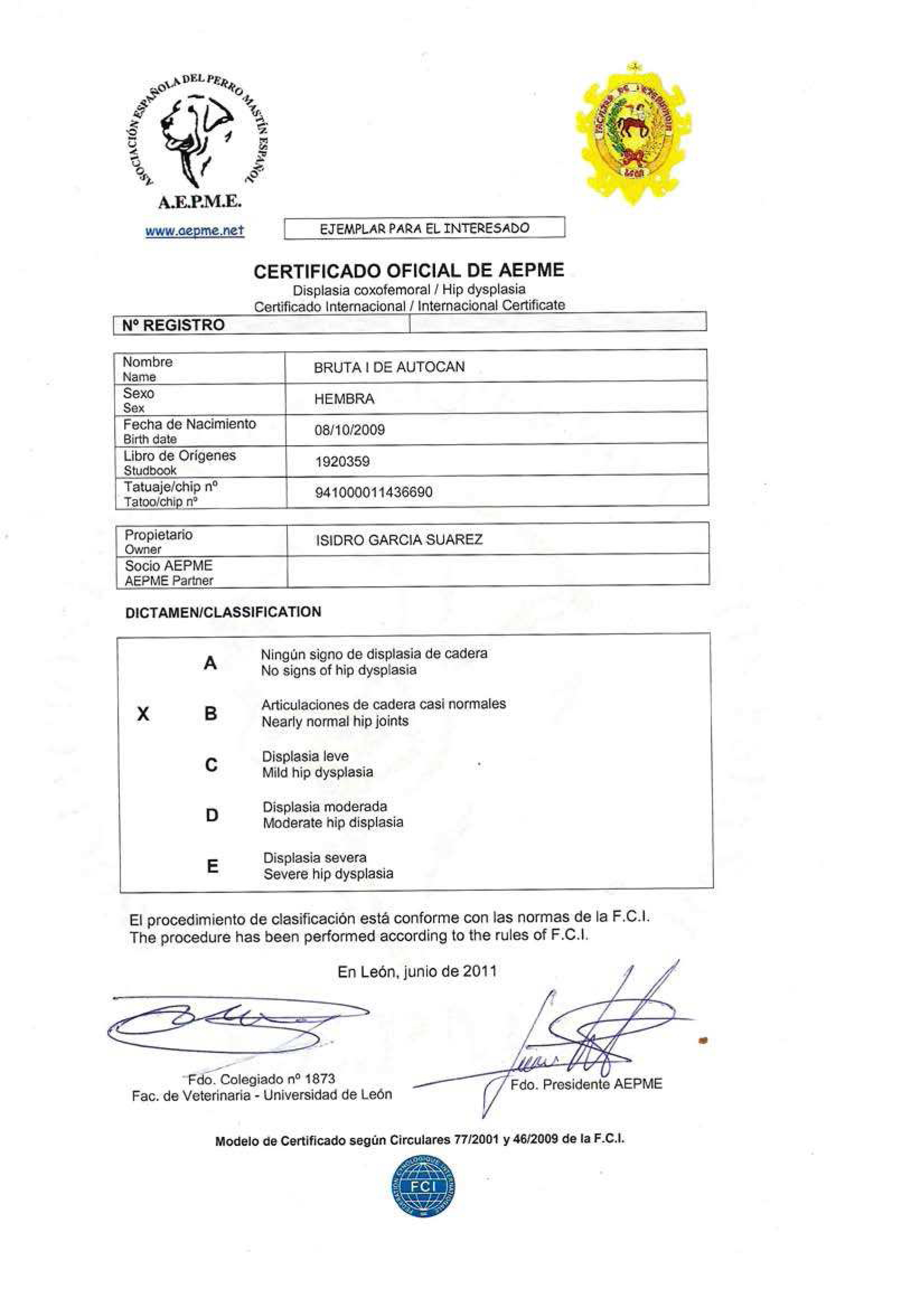 Mastín Español. Bruta I De Autocan.