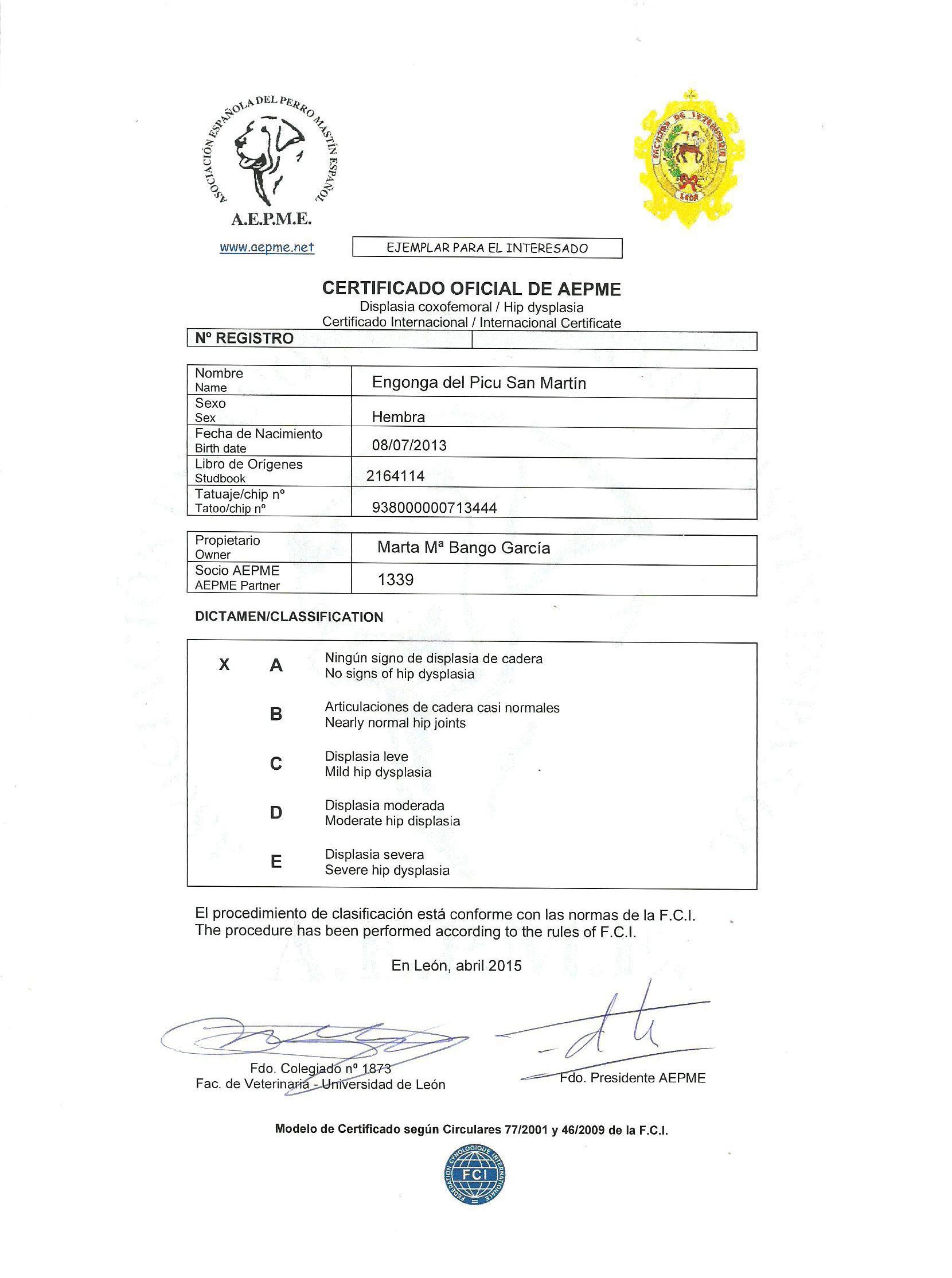 Mastín Español. Engonga Del Picu San Martin.